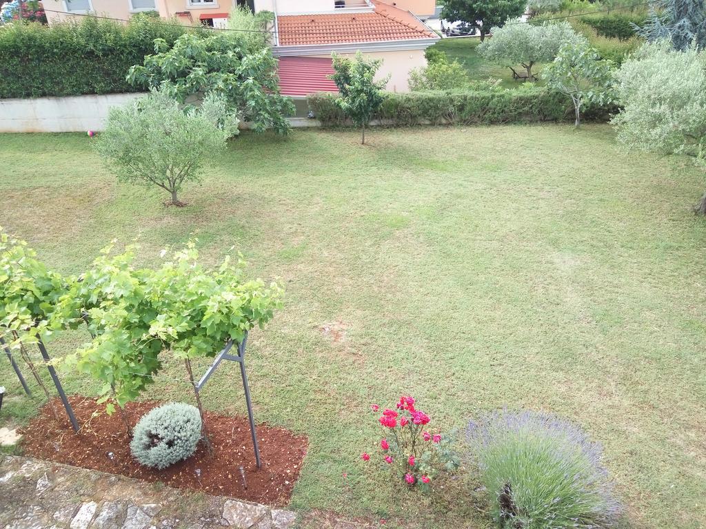 Apartment Asparagus โรวินสโก เซโล ภายนอก รูปภาพ